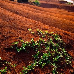 3A大作《归唐》全新截图 人物精美风景如画！